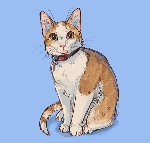 Full body pet (no bg)